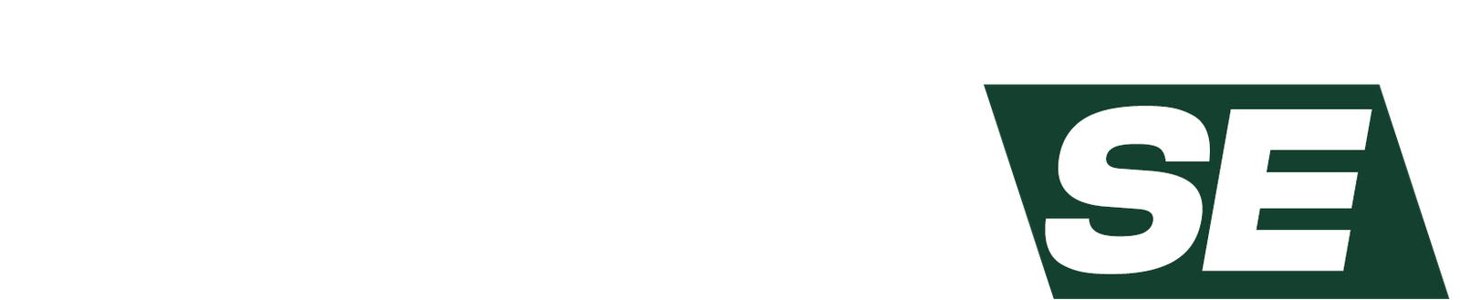 Logo Evolua-Se